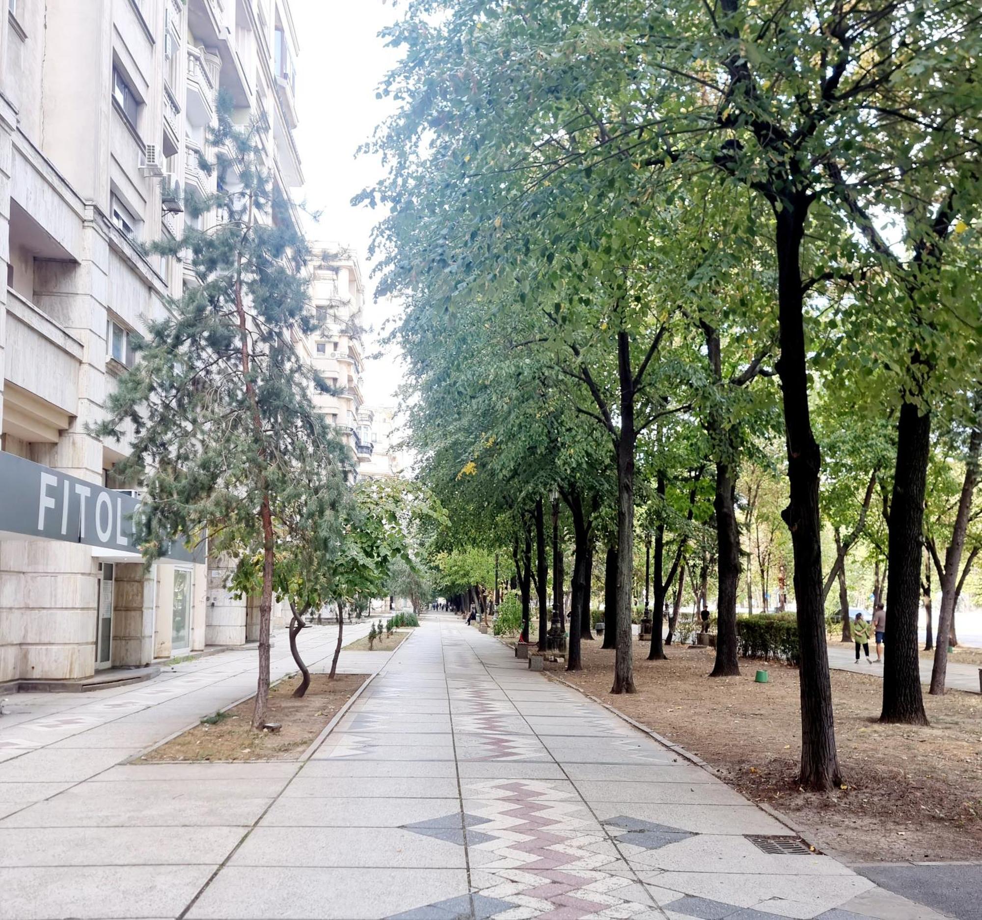 Tranquil Unirii Residence - Elegant & Spacious Living With Parking Steps From Parliament بوخارست المظهر الخارجي الصورة